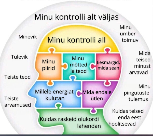 Joonis. Mida ma saan ja mida ei saa kontrollida?